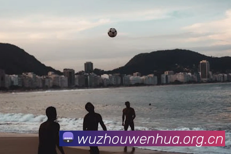 米兰体育在线登录入口APP 封面图